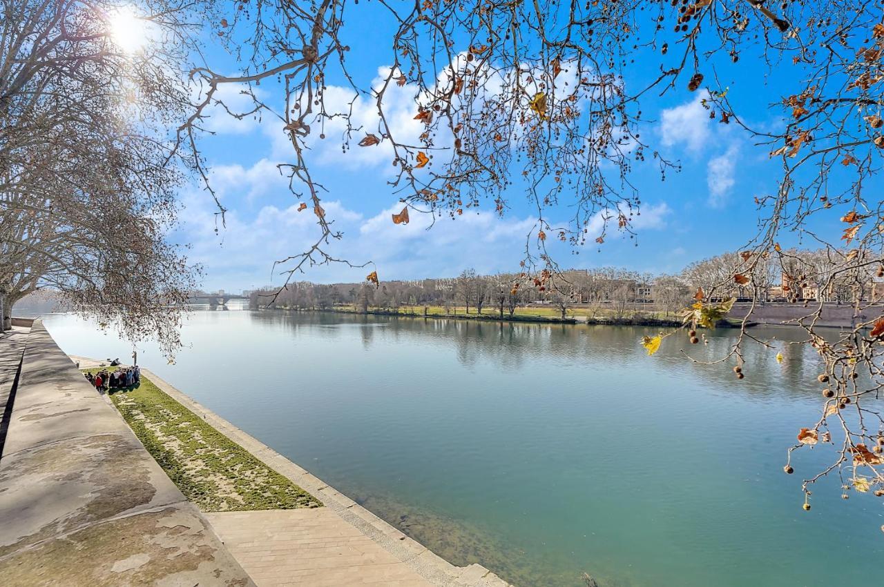 L'Ile Aux Tounis - T3 Moderne Centre De Toulouseアパートメント エクステリア 写真